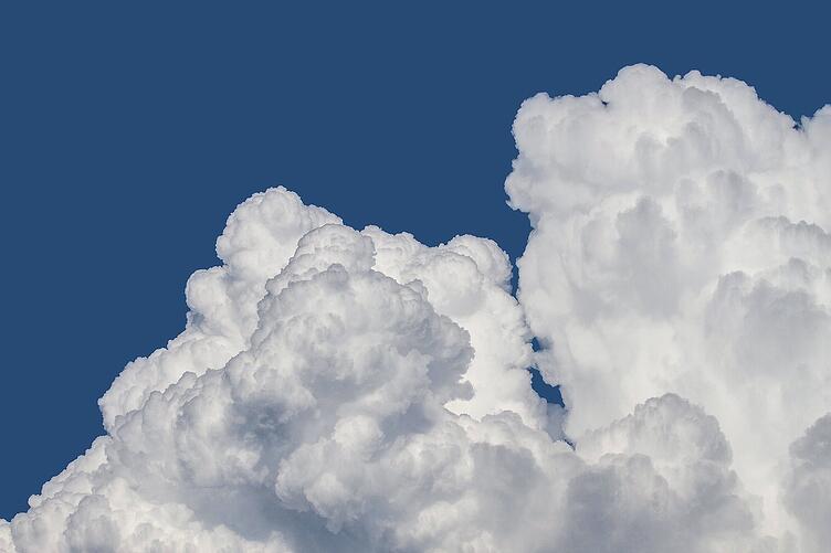Should Your Company Switch to the Cloud?